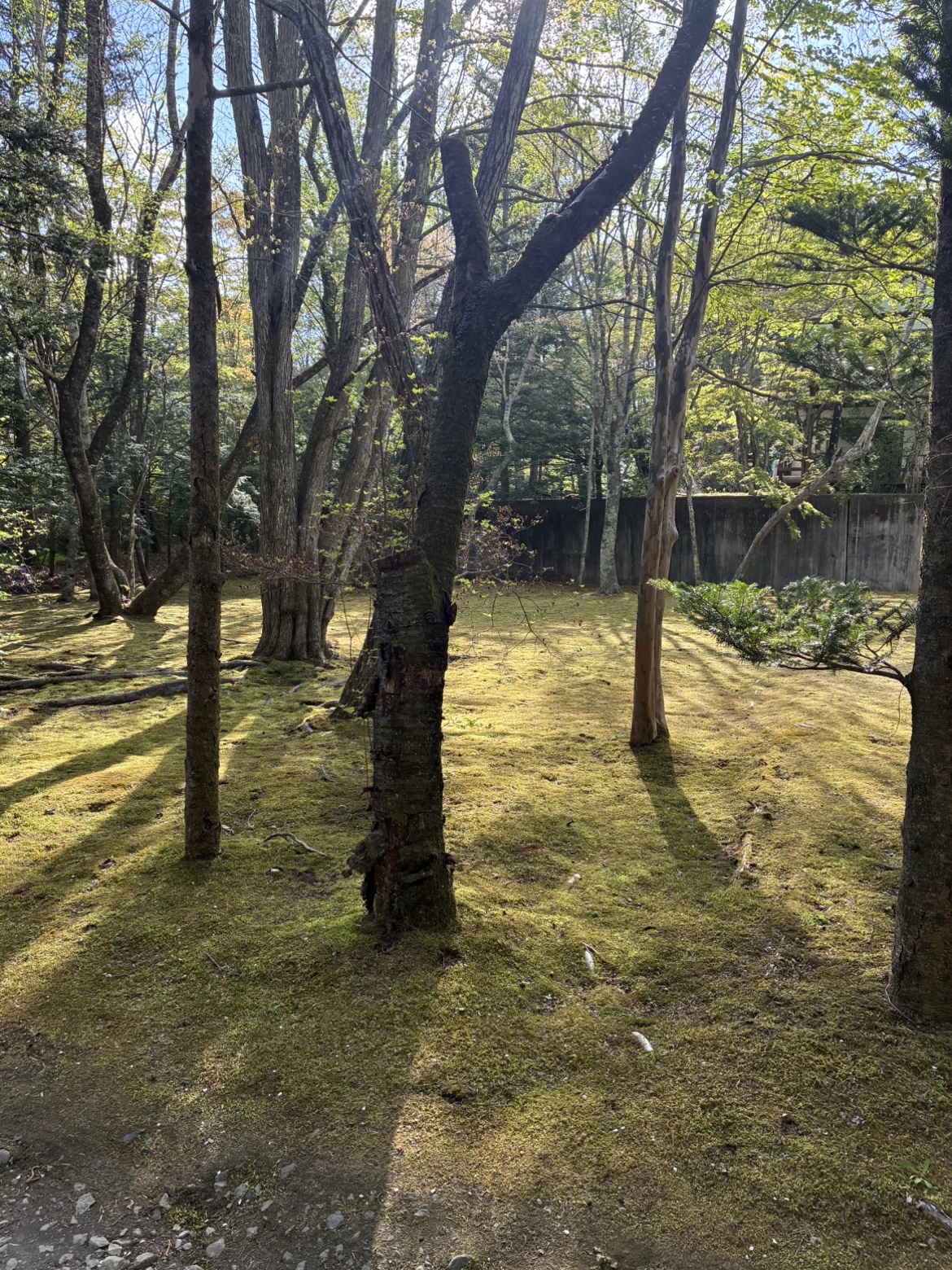 軽井沢地区の８月